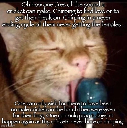 silly goober 2 | Oh how one tires of the sound a cricket can make. Chirping to find love or to get their freak on. Chirping in a never ending cycle of them never getting the females . One can only wish for there to have been no male crickets in the batch they were given for their frog. One can only pray it doesn’t happen again as thy crickets never bore of chirping. | image tagged in silly goober 2 | made w/ Imgflip meme maker