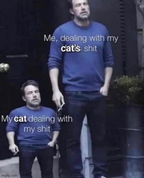"This is why you hate me." -Me to my cat, who definitely doesn't hate me, every day | image tagged in memes,cats,funny | made w/ Imgflip meme maker