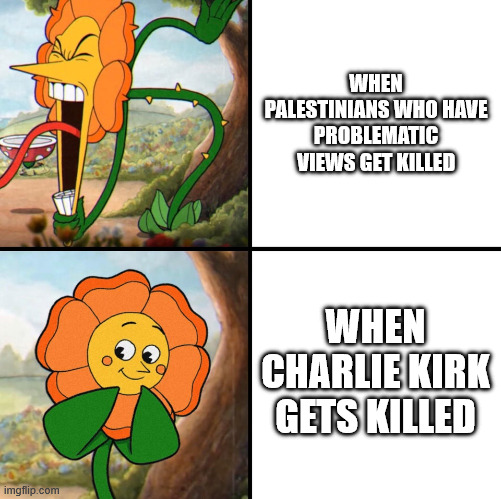 angry flower | WHEN PALESTINIANS WHO HAVE PROBLEMATIC VIEWS GET KILLED; WHEN CHARLIE KIRK GETS KILLED | image tagged in angry flower | made w/ Imgflip meme maker