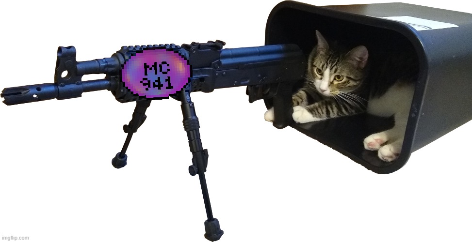 Defense Cat | image tagged in defense cat | made w/ Imgflip meme maker