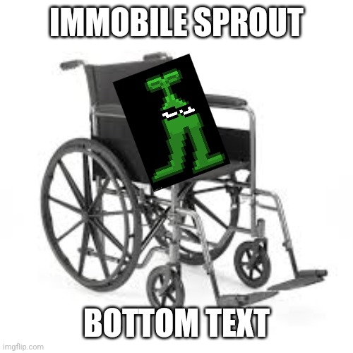 Immobile sprout | IMMOBILE SPROUT; BOTTOM TEXT | image tagged in wheelchair,immobile sprout | made w/ Imgflip meme maker