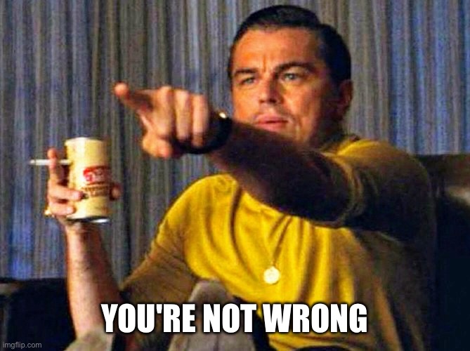 Leonardo Dicaprio pointing at tv | YOU'RE NOT WRONG | image tagged in leonardo dicaprio pointing at tv | made w/ Imgflip meme maker
