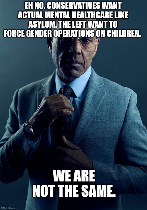 Gus Fring we are not the same | EH NO. CONSERVATIVES WANT ACTUAL MENTAL HEALTHCARE LIKE ASYLUM. THE LEFT WANT TO FORCE GENDER OPERATIONS ON CHILDREN. WE ARE NOT THE SAME. | image tagged in gus fring we are not the same | made w/ Imgflip meme maker