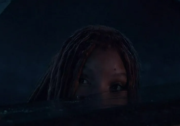 halle peaking Blank Meme Template