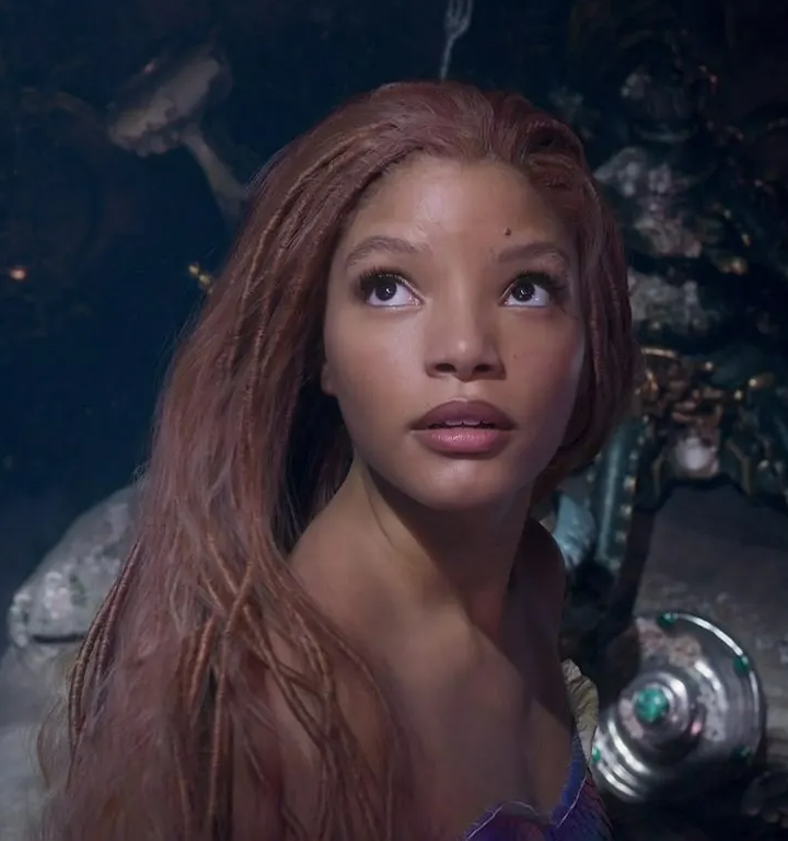 Halle ariel Blank Meme Template