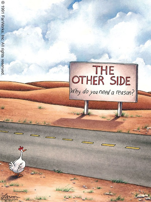 image tagged in chicken,road,why did the chicken cross the road,other,side,the other side | made w/ Imgflip meme maker