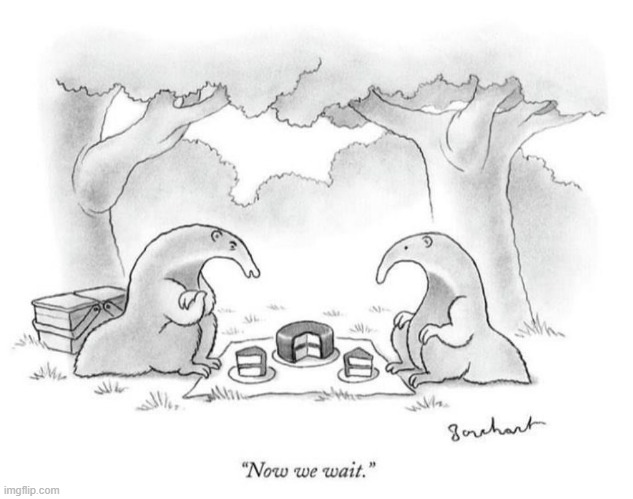 image tagged in anteaters,picnic,cake,wait,waiting,ants | made w/ Imgflip meme maker