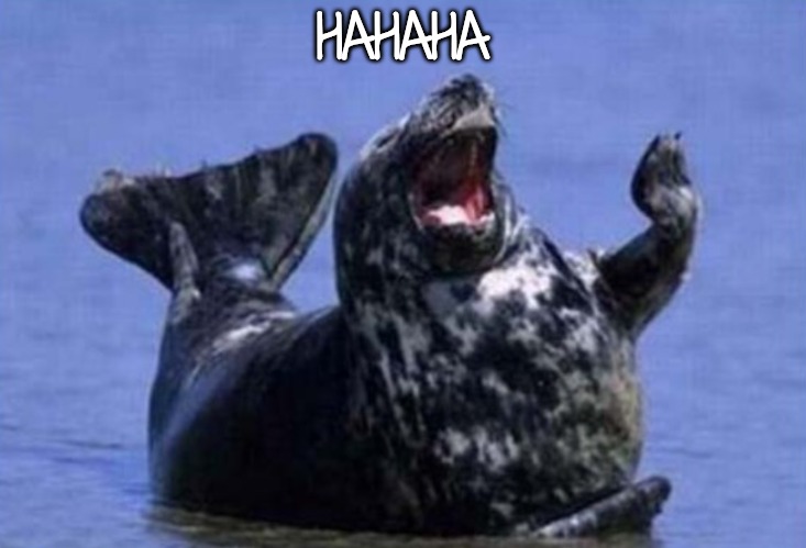Laughing walrus | HAHAHA | image tagged in laughing walrus | made w/ Imgflip meme maker