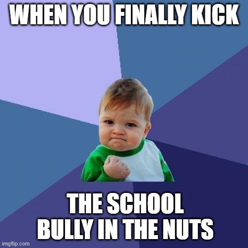 Kicking the bully | WHEN YOU FINALLY KICK; THE SCHOOL BULLY IN THE NUTS | image tagged in memes,success kid | made w/ Imgflip meme maker