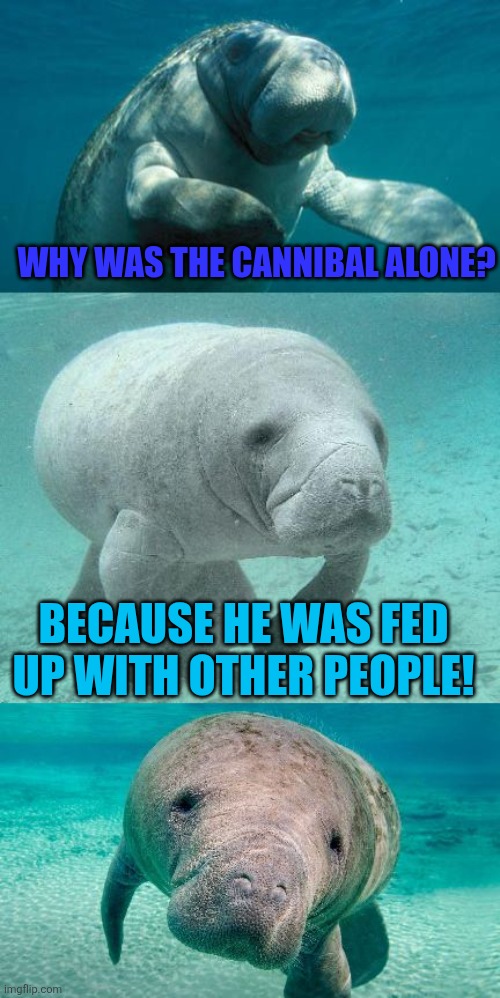 bad pun manatee | WHY WAS THE CANNIBAL ALONE? BECAUSE HE WAS FED UP WITH OTHER PEOPLE! | image tagged in bad pun manatee,jokes,cannibals,fed up | made w/ Imgflip meme maker