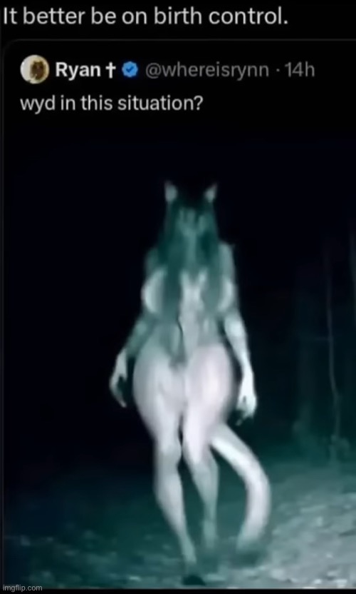 image tagged in memes,shitpost,furry,scp | made w/ Imgflip meme maker