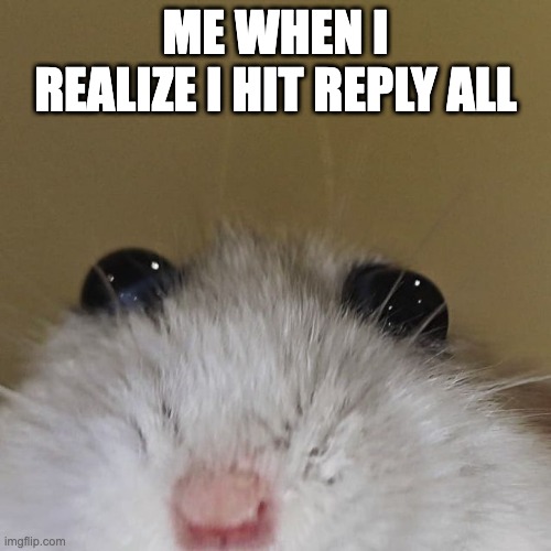 When I realize | ME WHEN I REALIZE I HIT REPLY ALL | image tagged in funny memes | made w/ Imgflip meme maker