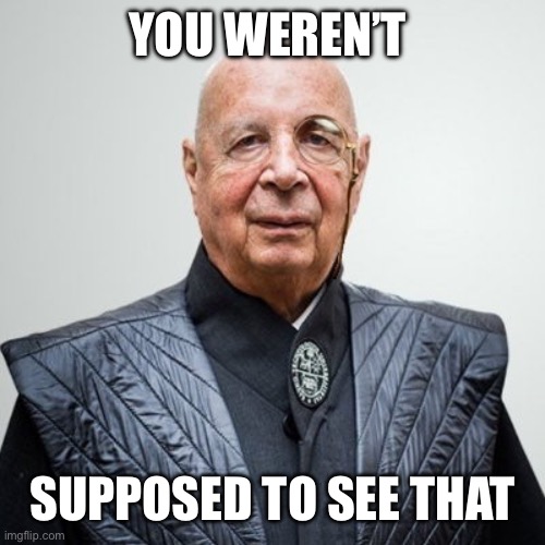 Klaus Schwab | YOU WEREN’T SUPPOSED TO SEE THAT | image tagged in klaus schwab | made w/ Imgflip meme maker