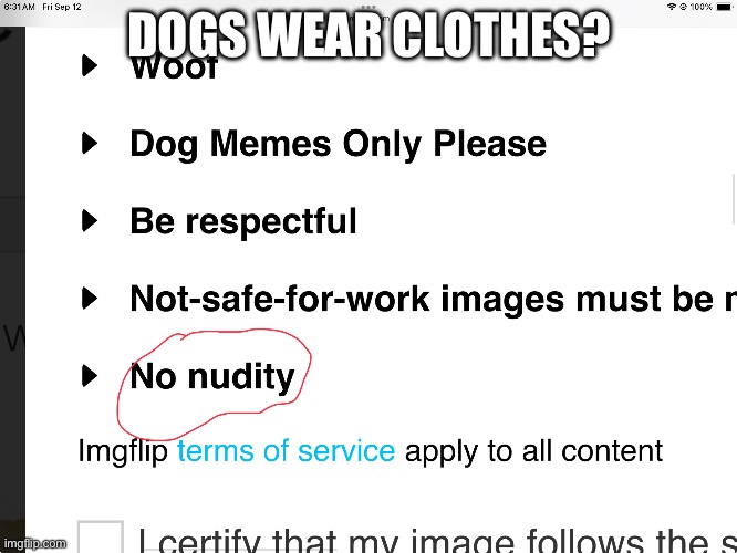 HUH!? | DOGS WEAR CLOTHES? | image tagged in true,dumb meme | made w/ Imgflip meme maker