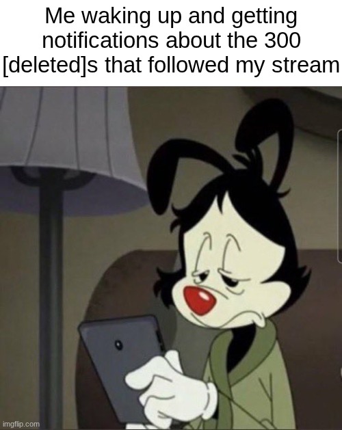 Yakko looking at phone | Me waking up and getting notifications about the 300 [deleted]s that followed my stream | image tagged in yakko looking at phone | made w/ Imgflip meme maker