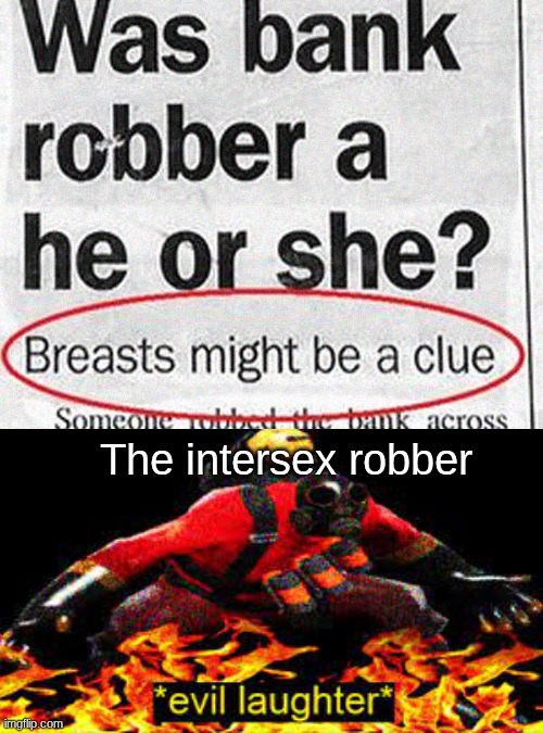The intersex robber | image tagged in evil laughter | made w/ Imgflip meme maker