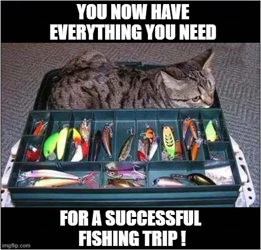 Come On ... Let's Go ! | YOU NOW HAVE EVERYTHING YOU NEED; FOR A SUCCESSFUL  FISHING TRIP ! | image tagged in cats,fishing | made w/ Imgflip meme maker