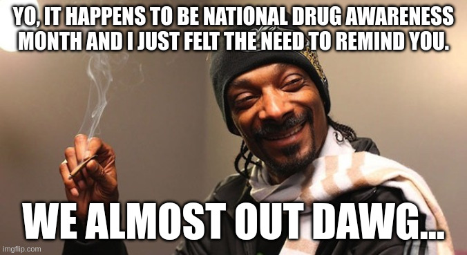 420 eves | YO, IT HAPPENS TO BE NATIONAL DRUG AWARENESS MONTH AND I JUST FELT THE NEED TO REMIND YOU. WE ALMOST OUT DAWG... | image tagged in 420 eves | made w/ Imgflip meme maker