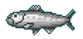 sardine Meme Template