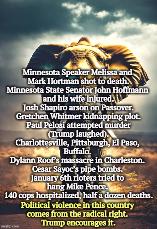 Minnesota Speaker Melissa and 
Mark Hortman shot to death.
Minnesota State Senator John Hoffmann 
and his wife injured.
Josh Shapiro arson on Passover.
Gretchen Whitmer kidnapping plot.
Paul Pelosi attempted murder
(Trump laughed).
Charlottesville, Pittsburgh, El Paso, 
Buffalo. 
Dylann Roof’s massacre in Charleston. 
Cesar Sayoc’s pipe bombs. 
January 6th rioters tried to 
hang Mike Pence. 
140 cops hospitalized, half a dozen deaths. Political violence in this country 

comes from the radical right. 
Trump encourages it. | image tagged in violence,gun violence,right wing,republican,conservative hypocrisy | made w/ Imgflip meme maker
