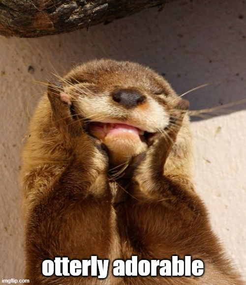 otterly adorable | made w/ Imgflip meme maker