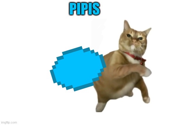 pipis | PIPIS | image tagged in throwing cat new | made w/ Imgflip meme maker