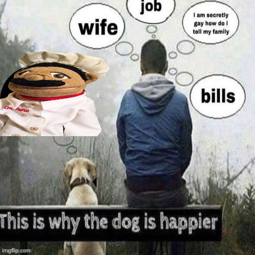 This is why the dog is happier | image tagged in this is why the dog is happier | made w/ Imgflip meme maker