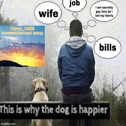 This is why the dog is happier | image tagged in this is why the dog is happier | made w/ Imgflip meme maker