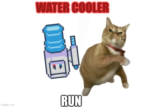AAAA | WATER COOLER; RUN | image tagged in throwing cat new | made w/ Imgflip meme maker