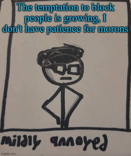 mildly annoyed | The temptation to block people is growing, I don't have patience for morons | image tagged in mildly annoyed | made w/ Imgflip meme maker