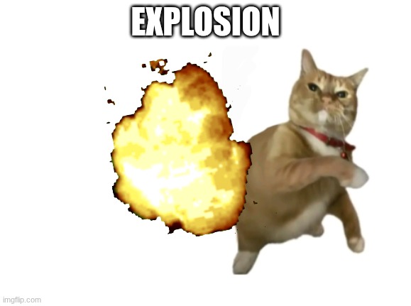 hahahah | EXPLOSION | image tagged in throwing cat new | made w/ Imgflip meme maker