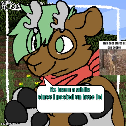 so how is everyone :3 | its been a while since I posted on here lol | image tagged in forrest reaction temp | made w/ Imgflip meme maker