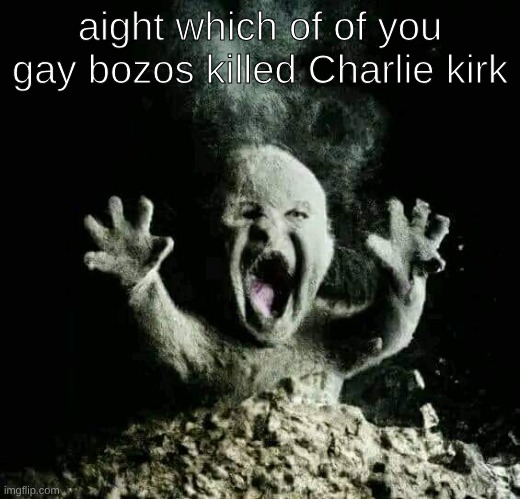 Ash baby | aight which of of you gay bozos killed Charlie kirk | image tagged in ash baby | made w/ Imgflip meme maker