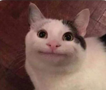 beluga Blank Meme Template