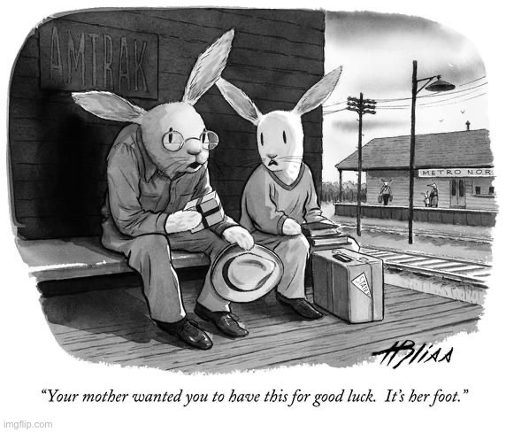 image tagged in comics,harry bliss,rabbits,off to college,rabbits foot,good luck | made w/ Imgflip meme maker