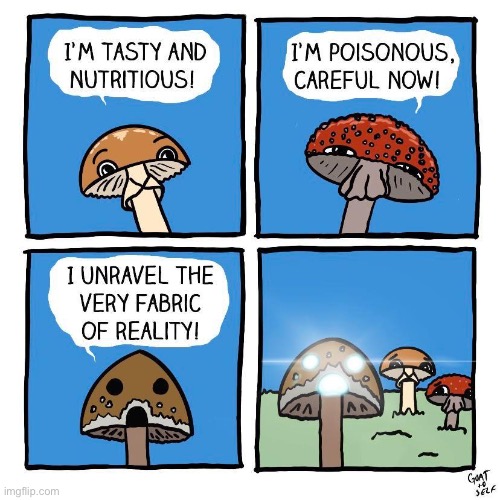 Goat to Self | image tagged in comics,goat to self,mushrooms,varieties,fabric of reality | made w/ Imgflip meme maker