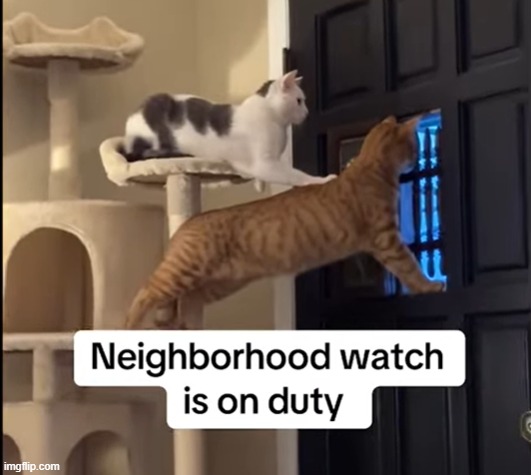 forget watch dogs | made w/ Imgflip meme maker