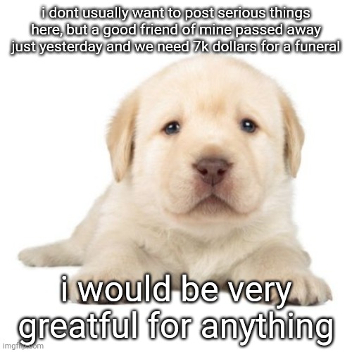 the link to the gofundme will be posted in the comments | i dont usually want to post serious things here, but a good friend of mine passed away just yesterday and we need 7k dollars for a funeral; i would be very greatful for anything | image tagged in really cute puppy | made w/ Imgflip meme maker