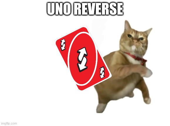 UNO REVERSE | UNO REVERSE | image tagged in throwing cat new | made w/ Imgflip meme maker