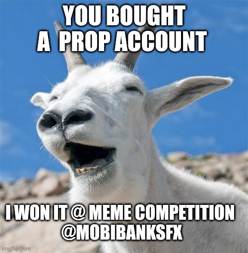 Laughing Goat | YOU BOUGHT A  PROP ACCOUNT; I WON IT @ MEME COMPETITION 
@MOBIBANKSFX | image tagged in memes,laughing goat | made w/ Imgflip meme maker
