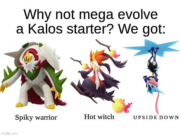 Mega Kalos Starters | Why not mega evolve a Kalos starter? We got:; Hot witch; Spiky warrior; U P S I D E  D O W N | image tagged in memes,funny,pokemon,gaming | made w/ Imgflip meme maker