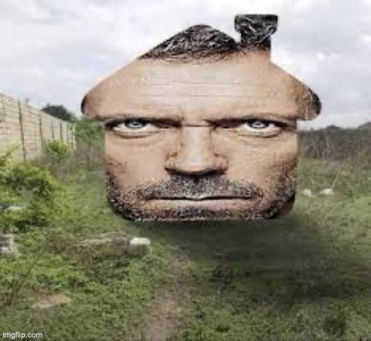 house | image tagged in msmg | made w/ Imgflip meme maker