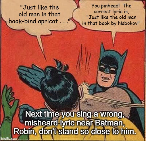 Batman Slapping Robin The Police | You pinhead!  The correct lyric is, "Just like the old man in that book by Nabokov!"; "Just like the old man in that book-bind apricot . . ."; Next time you sing a wrong, misheard lyric near Batman, Robin, don't stand so close to him. | image tagged in memes,batman slapping robin,the police,don't stand so close to me,vladimir nabokov | made w/ Imgflip meme maker