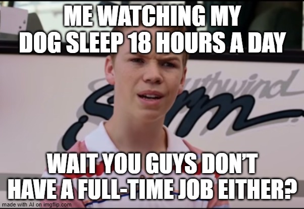 You Guys are Getting Paid | ME WATCHING MY DOG SLEEP 18 HOURS A DAY; WAIT YOU GUYS DON’T HAVE A FULL-TIME JOB EITHER? | image tagged in you guys are getting paid | made w/ Imgflip meme maker