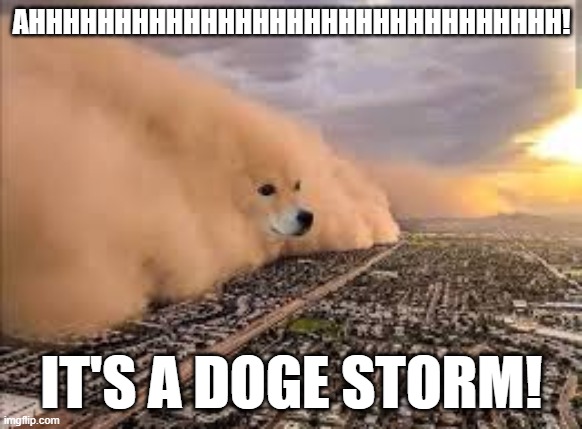 Doge Sandstorm | AHHHHHHHHHHHHHHHHHHHHHHHHHHHHHHH! IT'S A DOGE STORM! | image tagged in dog sandstorm | made w/ Imgflip meme maker