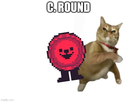 GO C.ROUND I CHOOSE YOU | C. ROUND | image tagged in throwing cat new | made w/ Imgflip meme maker