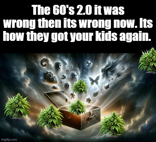 It was a bad ideal to legalize it, look how Portland fell. The progression of destruction was mesmerizing. | The 60's 2.0 it was wrong then its wrong now. Its how they got your kids again. | made w/ Imgflip meme maker