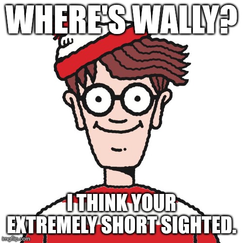 he's right there... | WHERE'S WALLY? I THINK YOUR EXTREMELY SHORT SIGHTED. | image tagged in where's waldo | made w/ Imgflip meme maker