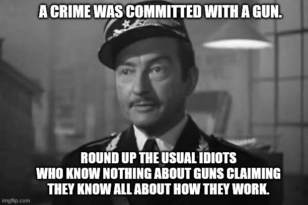 round up the usual idiots | A CRIME WAS COMMITTED WITH A GUN. ROUND UP THE USUAL IDIOTS WHO KNOW NOTHING ABOUT GUNS CLAIMING THEY KNOW ALL ABOUT HOW THEY WORK. | image tagged in crime,guns,idiots | made w/ Imgflip meme maker