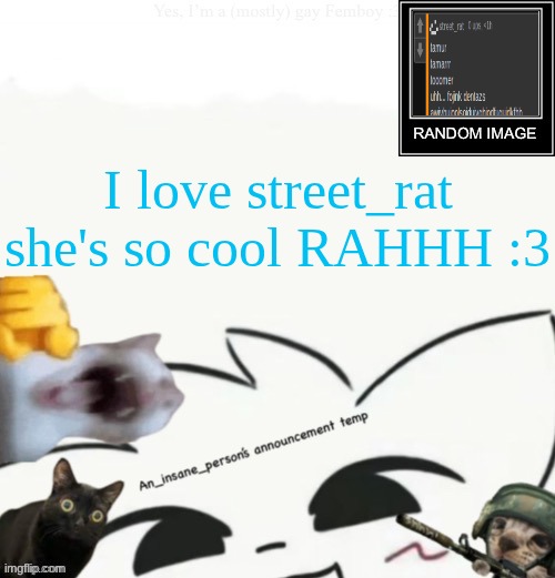 My lil announcement | I love street_rat she's so cool RAHHH :3 | image tagged in my lil announcement | made w/ Imgflip meme maker